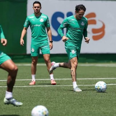 Palmeiras se reapresenta visando estreia no Brasileirão; treino foi divulgado
