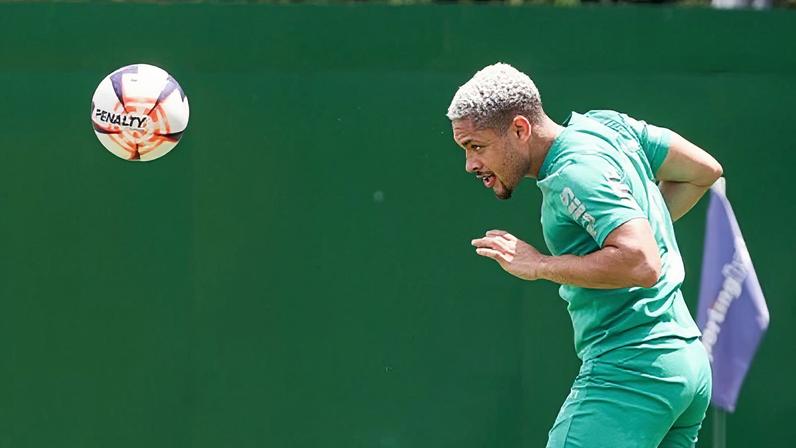 Vitor Roque faz atividade no campo do CT do Palmeiras