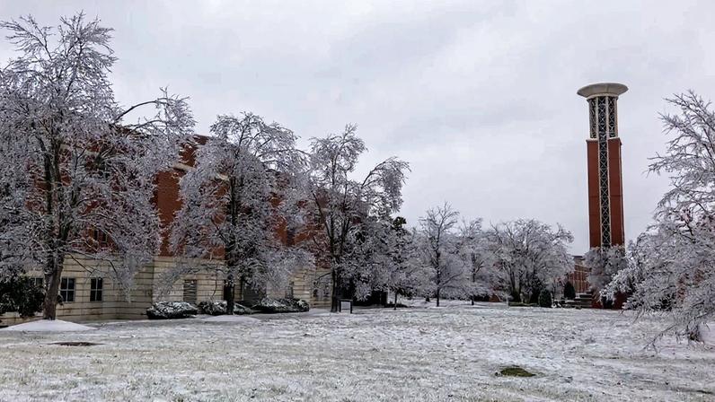 Ice causes trees to sag near the Allen Bell Tower on Lipscomb University's campus.