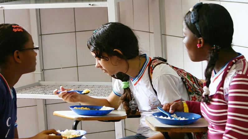 The government of Brazil’s Rio de Janeiro state has banned shark meat for meals in most of the schools it manages, after pressure from conservationists and school meal advisers raising health and environmental concerns.