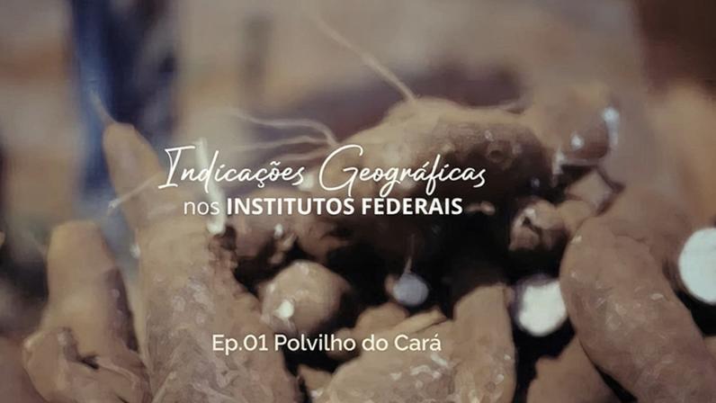 Indicação geográfica