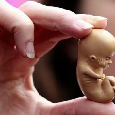 Inglaterra e País de Gales registram mais de 270 mil abortos