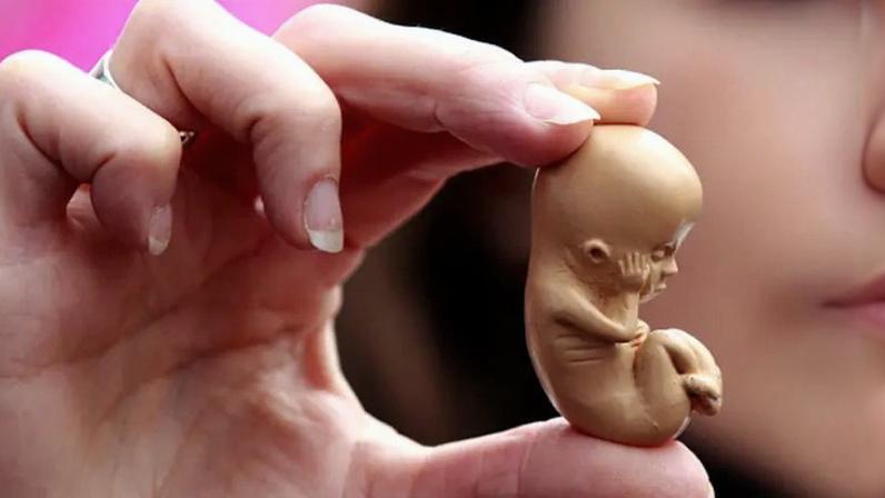 Abortos: em 2024, mais de 45 milhões de bebês foram mortos