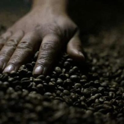 Indústria de café solúvel pede manter isenção de tarifa de 50% nos EUA