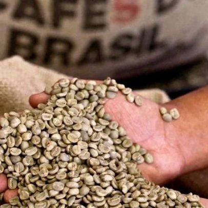 Exportação de café verde do Brasil registra primeira alta anual desde março