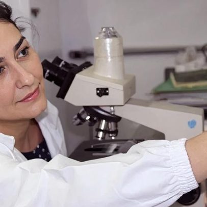 Embrapa: pesquisadora defende cannabis como cultura comum no Brasil