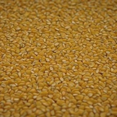 UE avalia liberação imediata de €45 bilhões para conter crise com agricultores