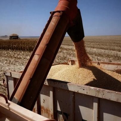 Exportação de milho em janeiro é estimada em 3,4 milhões de toneladas