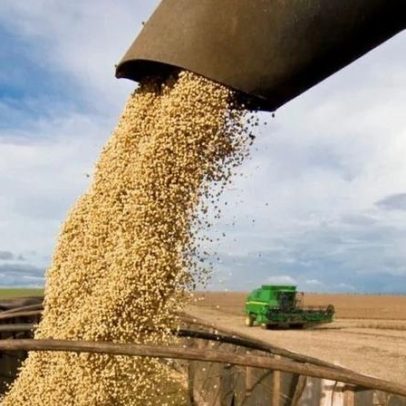 Safra de soja 2025/26 deve chegar a 179,5 milhões de toneladas