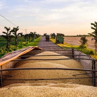 USDA eleva projeção da safra brasileira de soja e pressiona Chicago