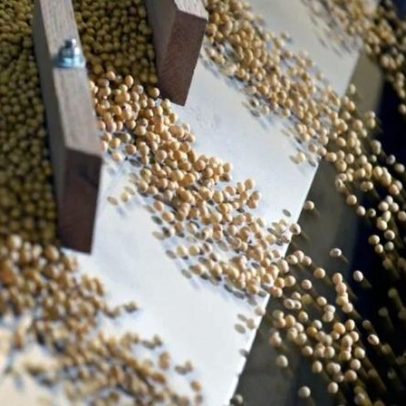 Brasil detém 73,6% do mercado de soja na China em ano recorde