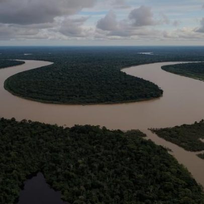A luta climática pode não ser vencida na Amazônia, pode ser perdida lá