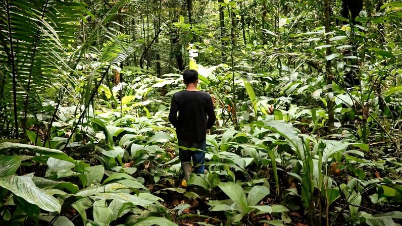 An Indigenous Tikuna man in the Amazon Rainforest. Image by Rhett A. Butler/Mongabay.