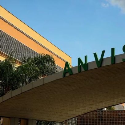 Anvisa determina recolhimento de panetones com fungo