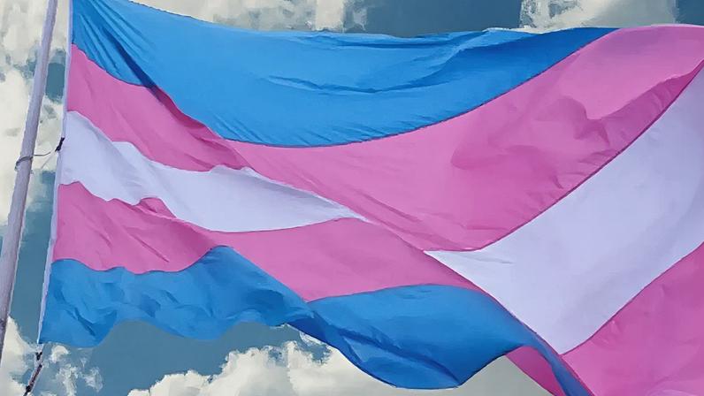 Bandeira trans. Foto: Antra/Divulgação