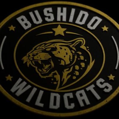 Bushido Wildcats x ALGO Esports: estatísticas e resultado de 13/01/2026