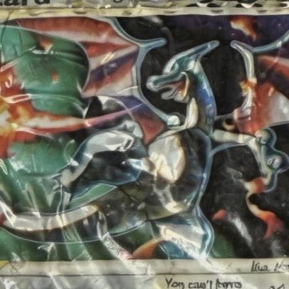 Colecionador de Pokémon paga valor absurdo pela carta 'World’s Worst Charizard'