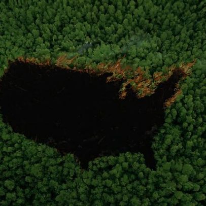 China pode substituir EUA ausentes na luta climática?