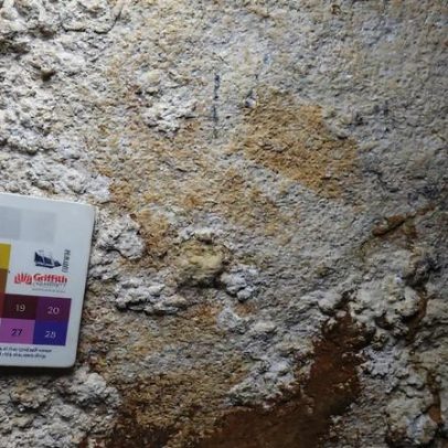 Descoberta a mais antiga arte rupestre do mundo na Indonésia