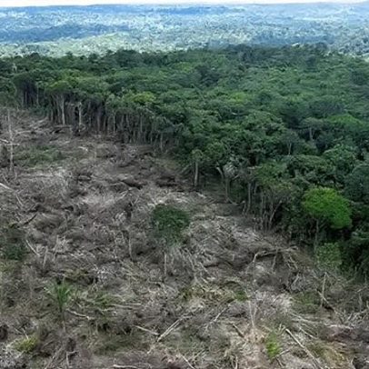 Perda de natureza é risco à segurança nacional, alertam grupos