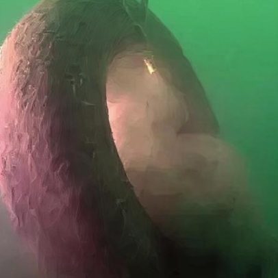 Mais de 500 pneus coletados no Plymouth Sound
