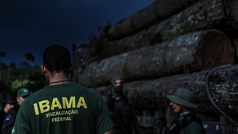 Operação do Ibama contra extração ilegal e na comercialização de madeira. Foto: Vinícius Mendonça/Ibama