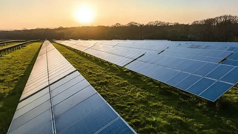 Rows of solar panels in a field. The sun is setting in the background.