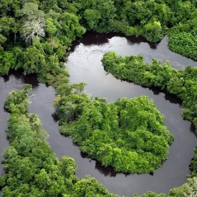 BNDES seleciona sete fundos para aporte de 4,3 bilhões em transição ecológica