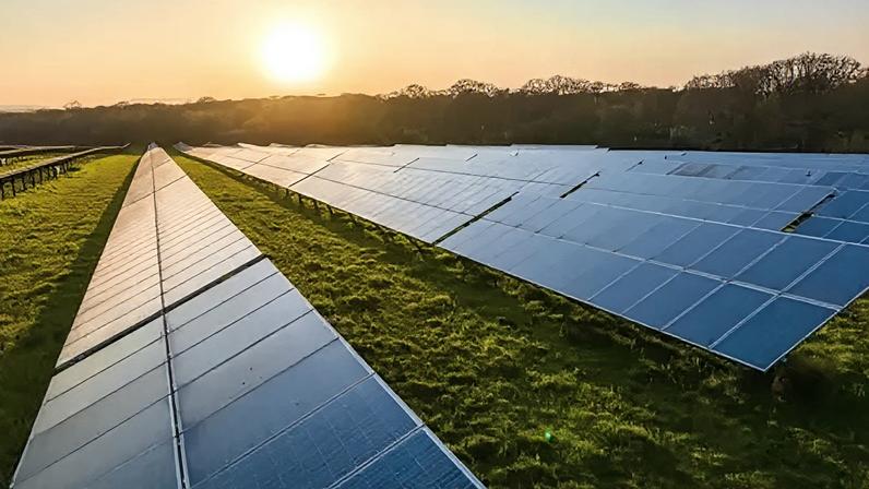 Rows of solar panels in a field. The sun is setting in the background.