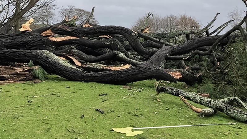 Some of the damage Storm Goretti caused at Truro Golf Club