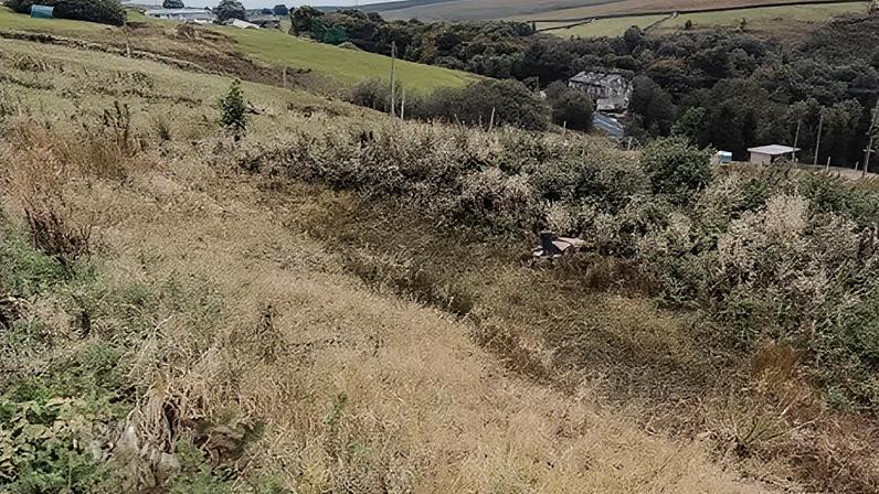 Esquema de defesa natural contra inundações atinge £1 milhão em subsídios