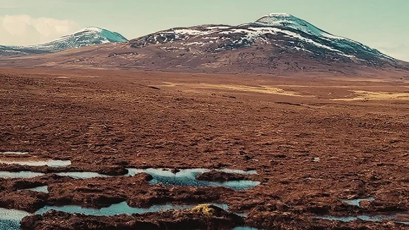 The Flow Country became a Unesco world heritage site in 2024