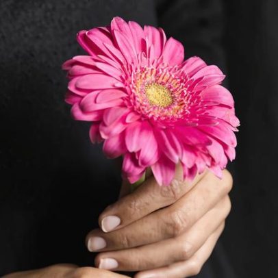 Dia Nacional de Luto pelo Feminicídio é lembrado em todo o país