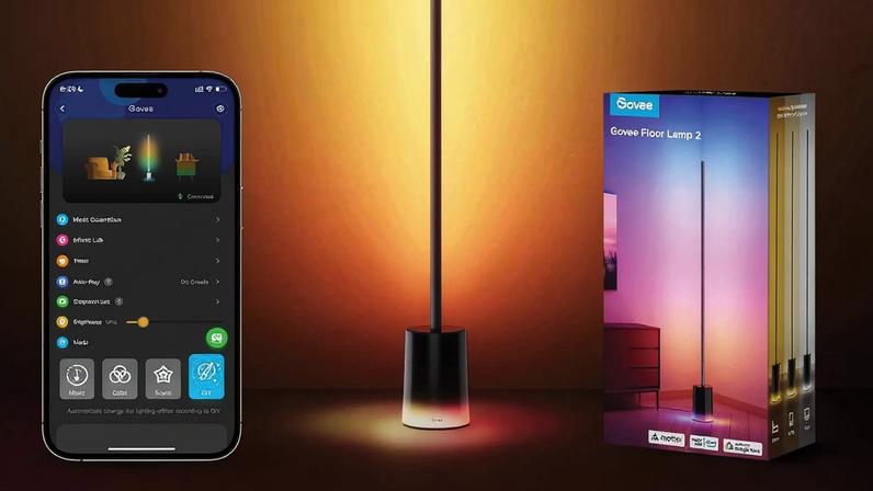 Govee Floor Lamp 2