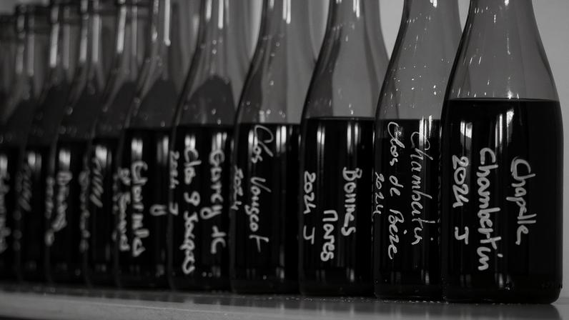 Gevrey-Chambertin 2024