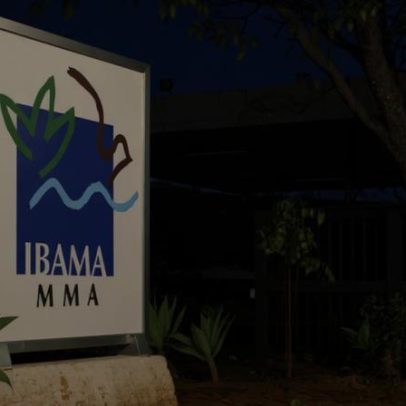 Ibama alerta sobre golpes virtuais ligados a concursos