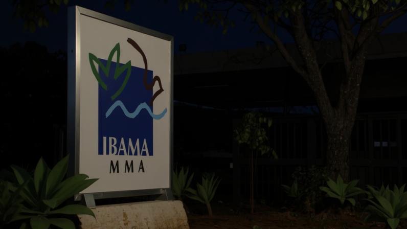 Foto: Ibama/Divulgação