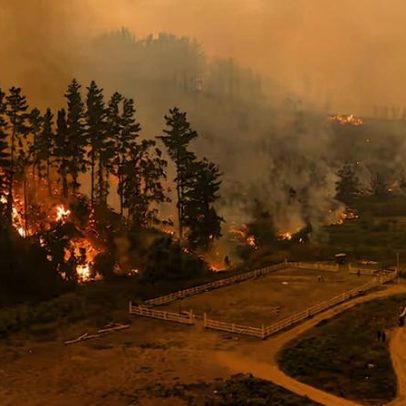Incêndios no Chile mobilizam ajuda humanitária de adventistas