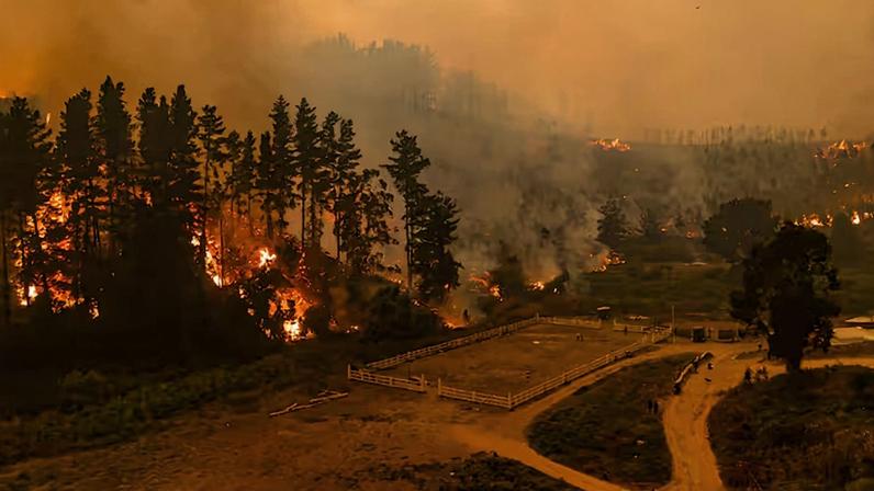 Incêndios no Chile mobilizam ação humanitária adventista