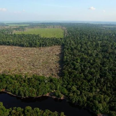 Indonésia afirma recuperar 4 milhões de ha de terras de plantação e mineração