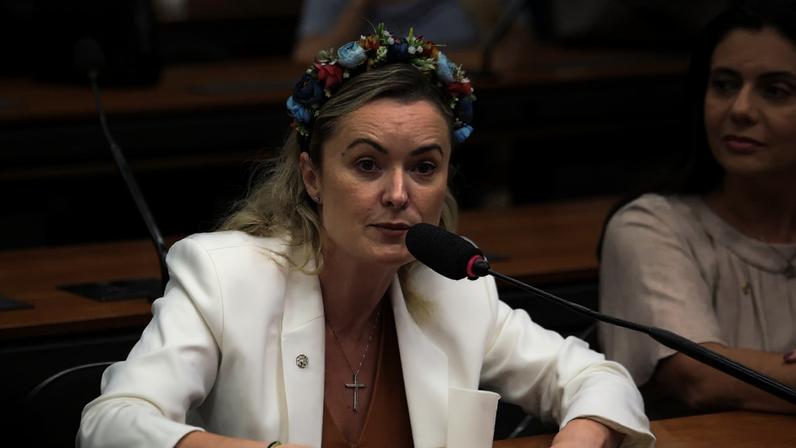 A deputada oposicionista Júlia Zanatta (PL-SC). (Foto: Billy Boss/Câmara dos Deputados)