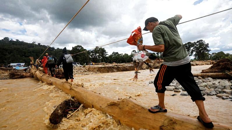 A man holds a chicken as he walks on log used as a makeshift bridge at a village affected by a flash flood in Batang Toru, Dec. 1.