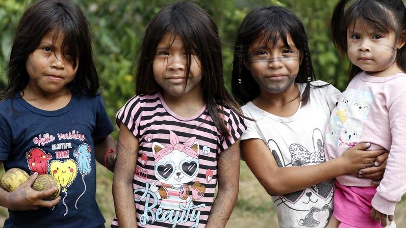 Crianças indígenas. Ministério da Saúde lança módulo inédito para monitorar desenvolvimento de crianças indígenas.