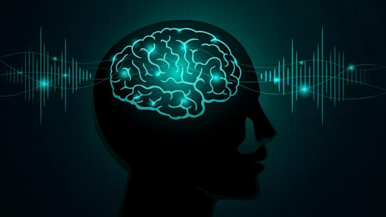 Researchers seeking to understand how the brain produces specifically directed, yet fast and flexible, cognition have developed a theory called "spatial computing," which posits that the brain recruits ad hoc groups of neurons by applying certain frequencies of brain waves to physical patches of the cortex.