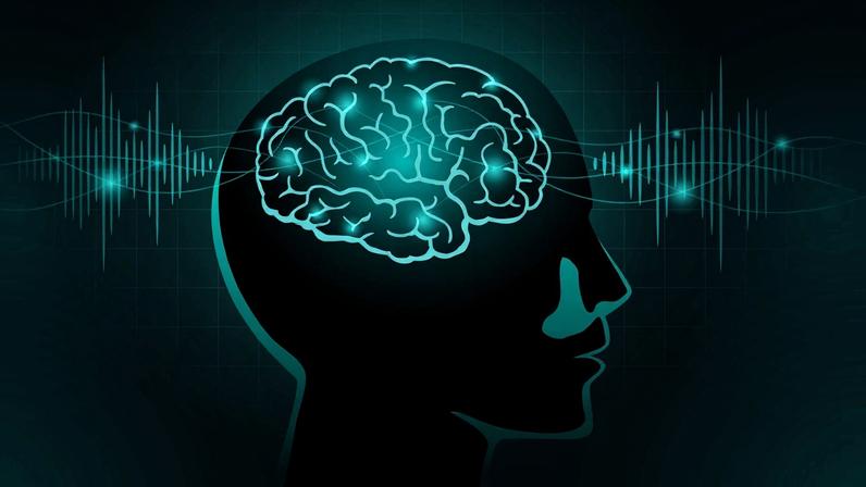 Simplified illustration of a human head with a brain inside. Wave forms appear on either side.