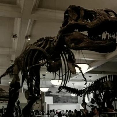 Nova York oferece 15 programas de atividades com crianças