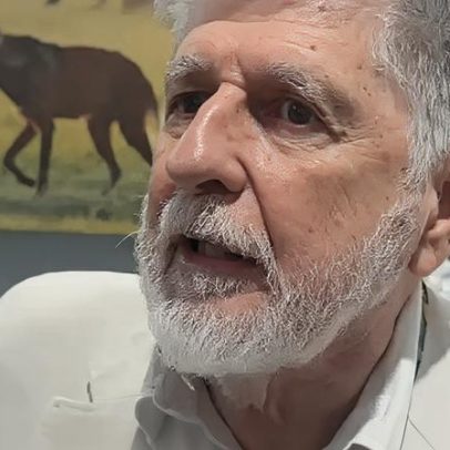 Amorim: tarifão de Trump pode ter sido subestimado