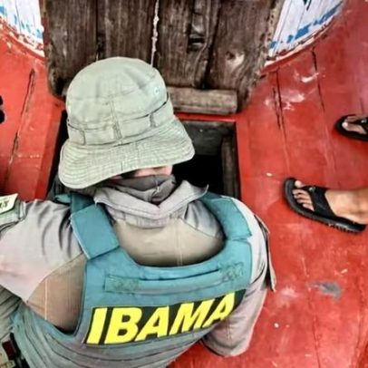 Golpe do falso concurso leva Ibama a emitir alerta e orienta como se proteger