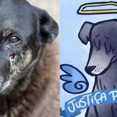 Câmara acelera projeto que torna maus-tratos a animais com resultado morte crime hediondo