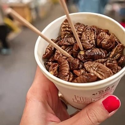 Por que tantas pessoas acham nojento comer insetos